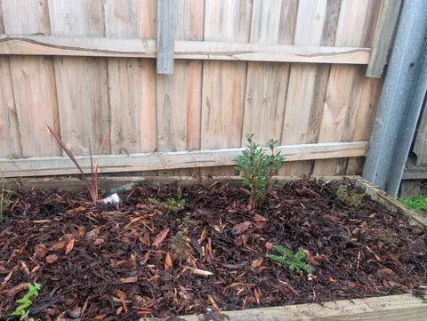 Edged planted garden project image 7